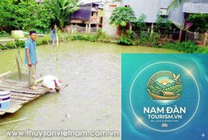 trại giống thủy sản tam nông
