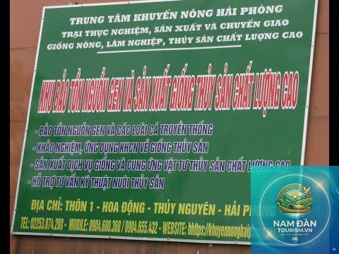 trại giống thủy sản tam nông - Hình 5