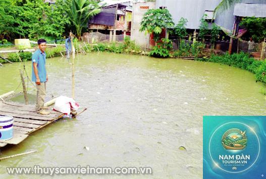trại giống thủy sản tam nông - Hình 1