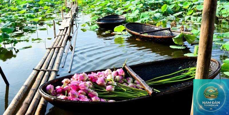 trải nghiệm đồng tháp mười long an - Hình 2
