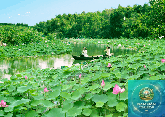 trải nghiệm đồng tháp mười long an - Hình 3