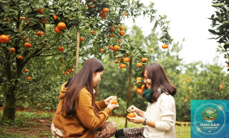 trải nghiệm miệt vườn bến tre - Hình 4
