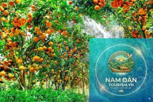 trải nghiệm miệt vườn tiền giang