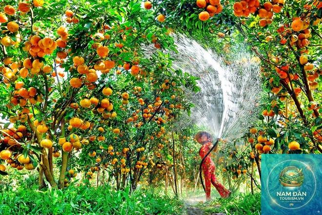 trải nghiệm miệt vườn tiền giang