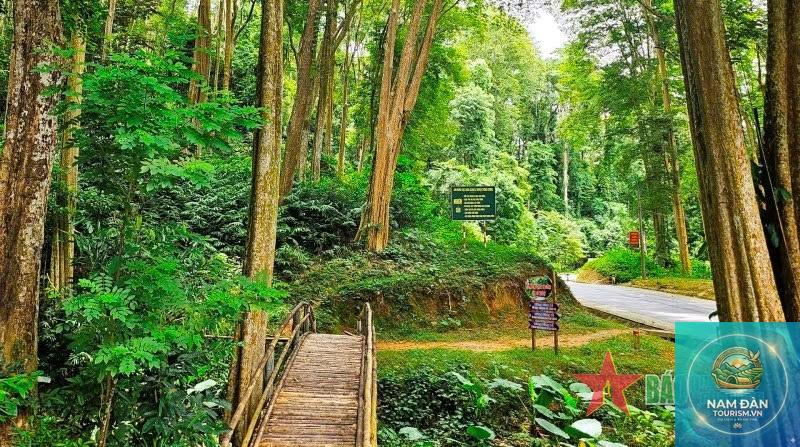 trải nghiệm rừng nguyên sinh nghệ an - Hình 4