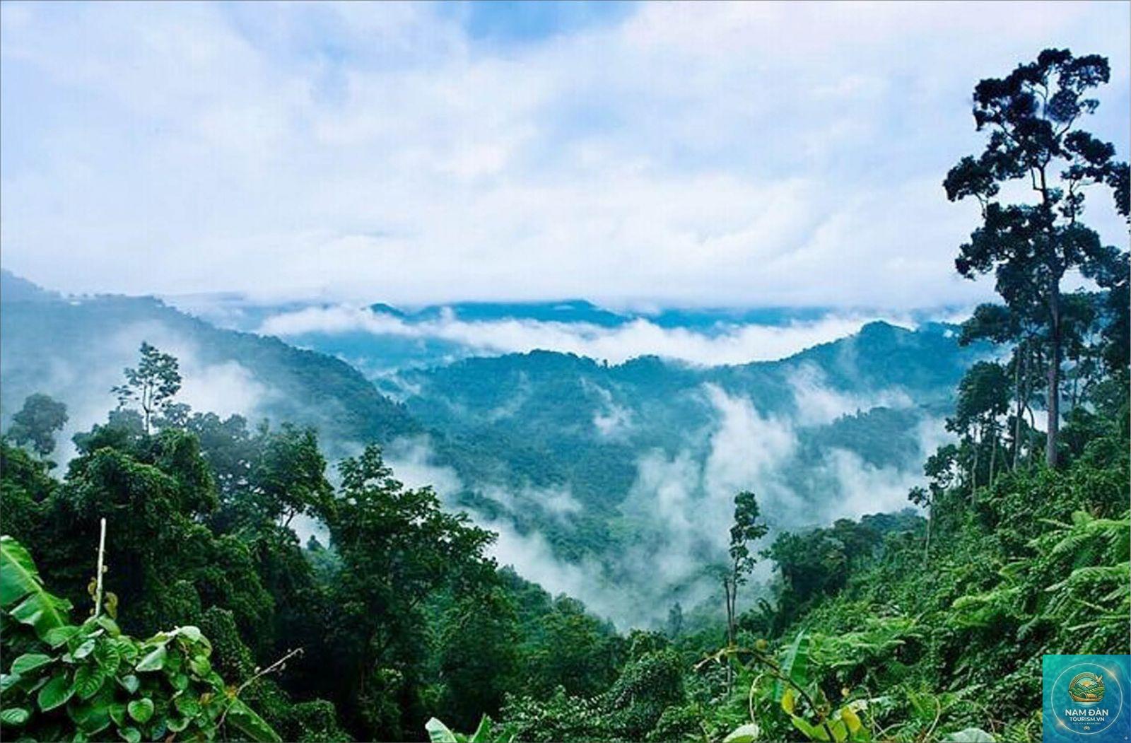 trải nghiệm rừng nguyên sinh nghệ an - Hình 5