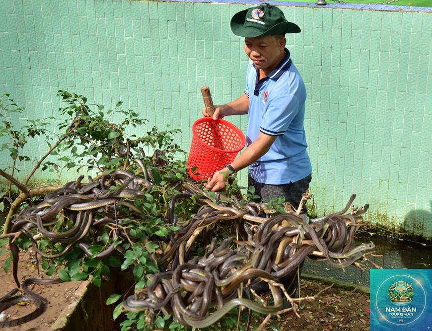 trại rắn đồng tâm - Hình 2