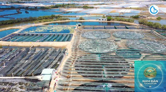 trại tôm công nghệ cao bạc liêu - Hình 4