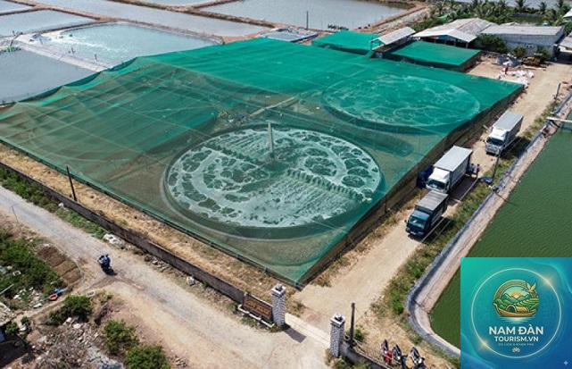 trại tôm công nghệ cao bạc liêu - Hình 5