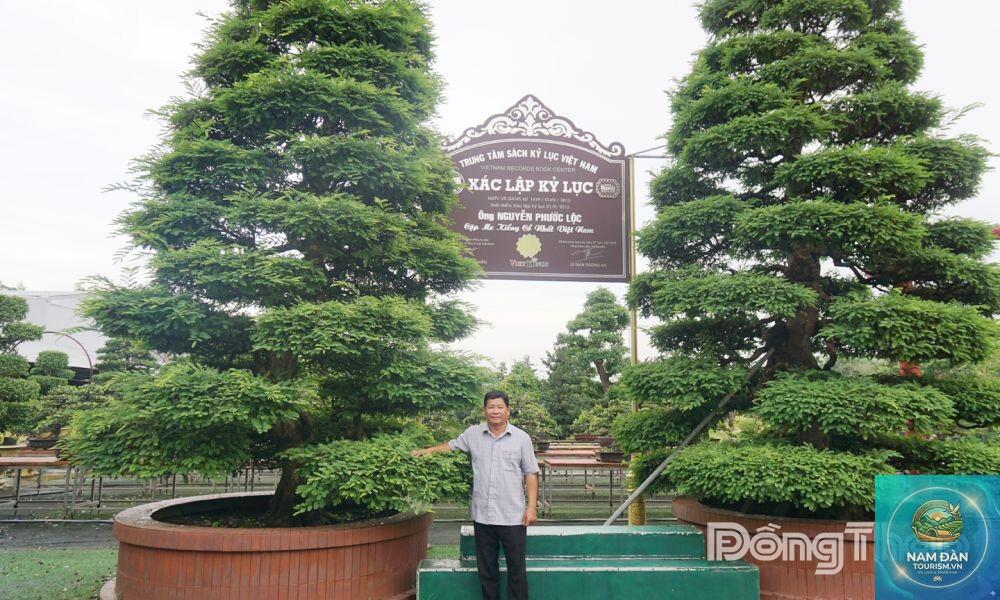 trung tâm cây cảnh sa đéc - Hình 2