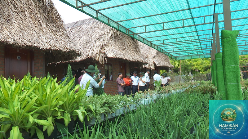 trung tâm nông nghiệp sa đéc - Hình 3