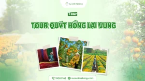 tuyến du lịch sa đéc – lai vung