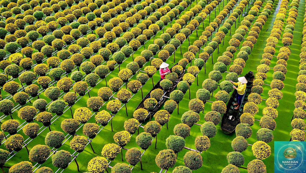 tuyến du lịch sa đéc – lai vung - Hình 4