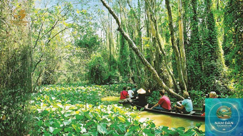 tuyến du lịch tràm chim – tháp mười - Hình 2