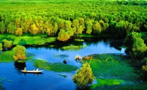 tuyến du lịch tràm chim – tháp mười