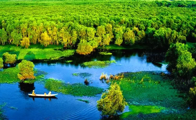 tuyến du lịch tràm chim – tháp mười - Hình 1
