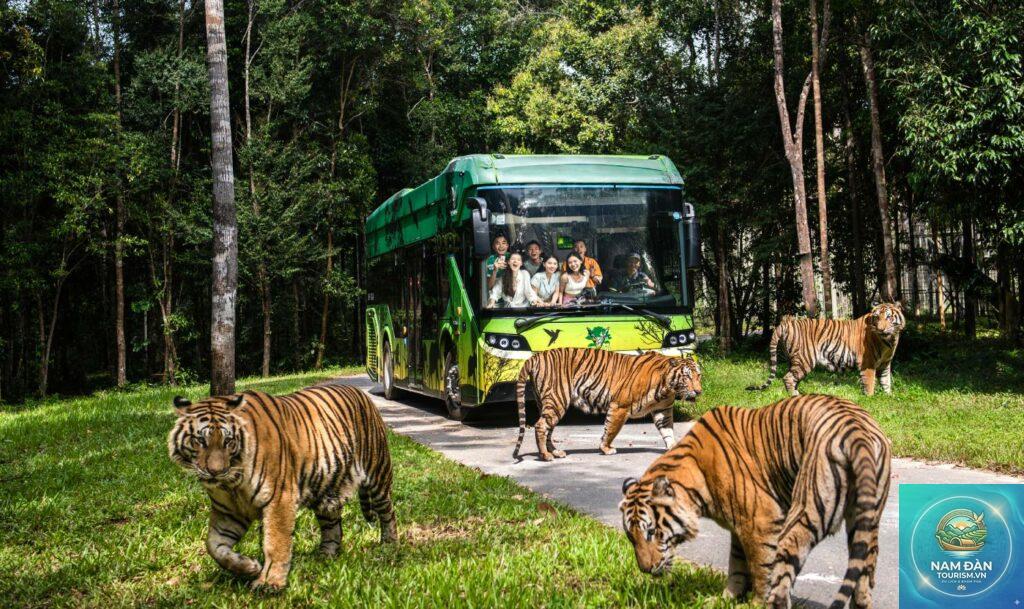 vinpearl safari phú quốc