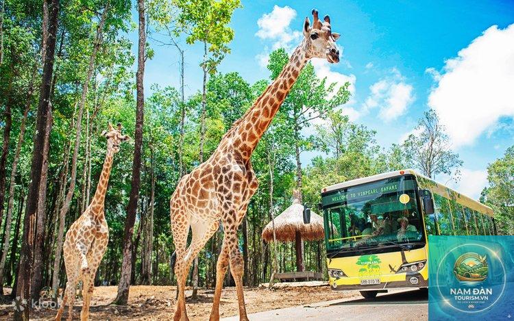 vinpearl safari phú quốc - Hình 4