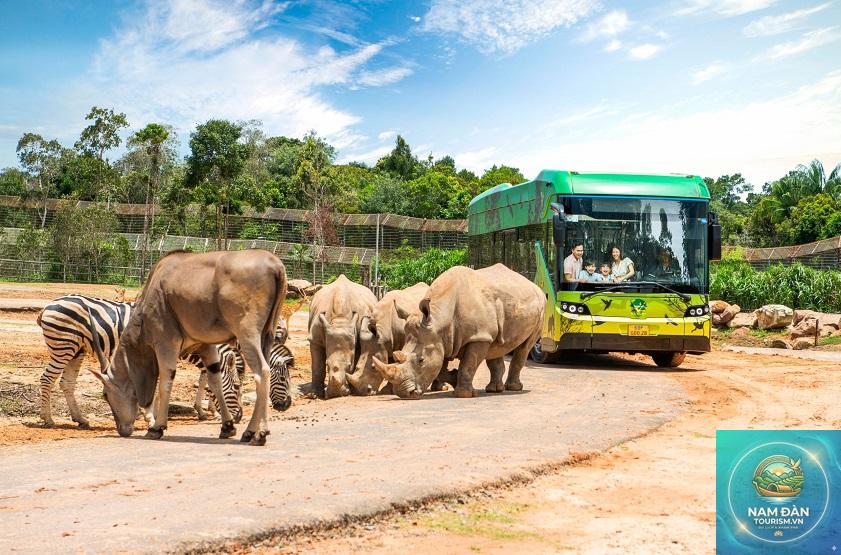 vinpearl safari phú quốc - Hình 5