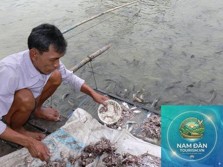 vùng nuôi cá lóc đồng tháp - Hình 2