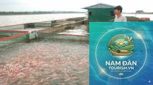 vùng nuôi cá sông tiền