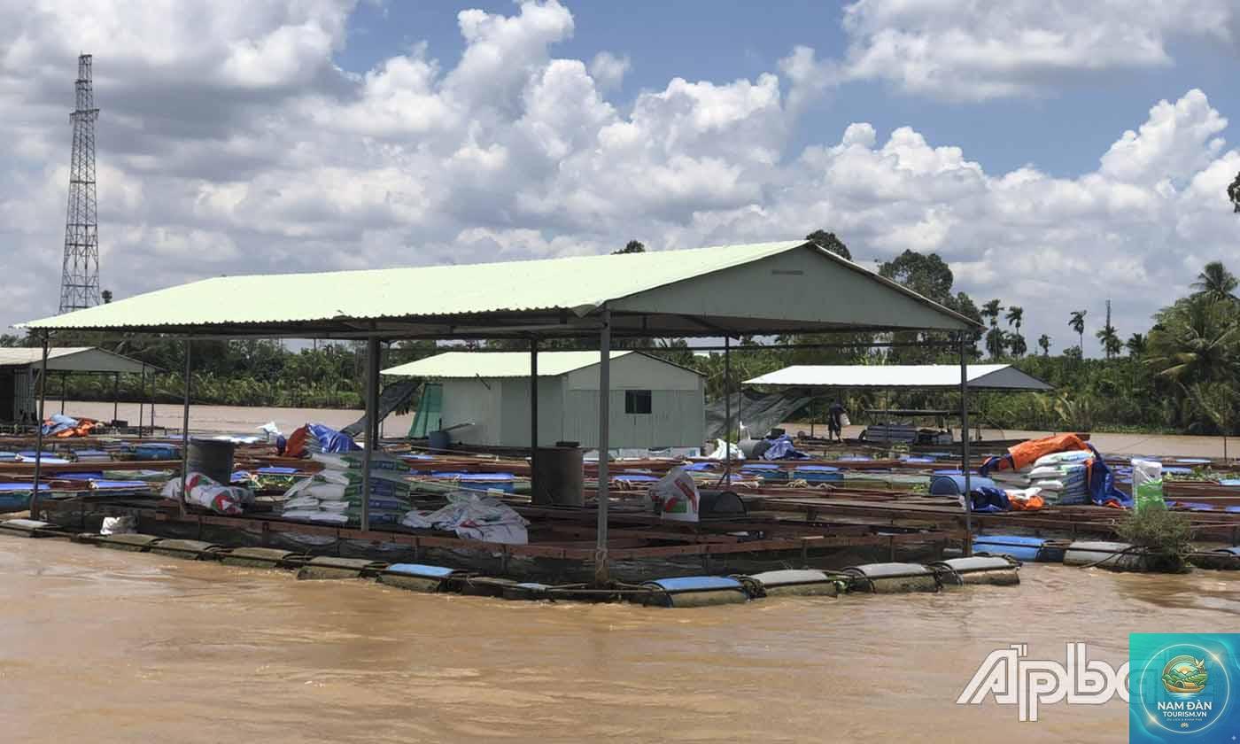 vùng nuôi cá sông tiền - Hình 4