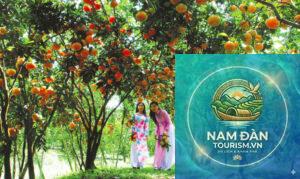 vườn cây ăn trái bình đại