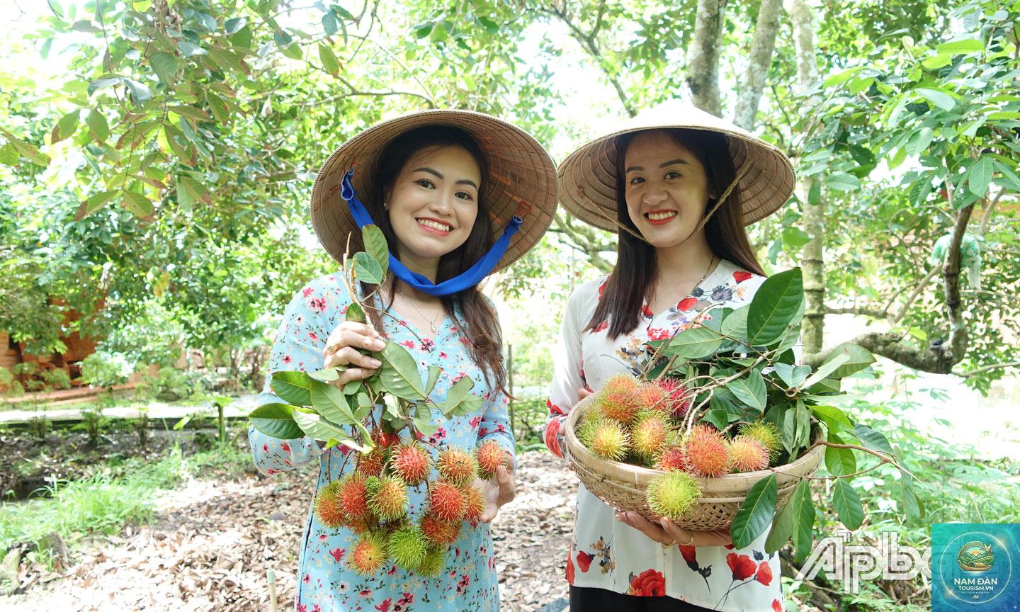 vườn cây ăn trái cai lậy - Hình 3