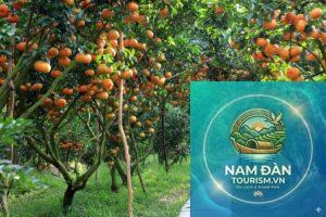 vườn cây ăn trái cai lậy