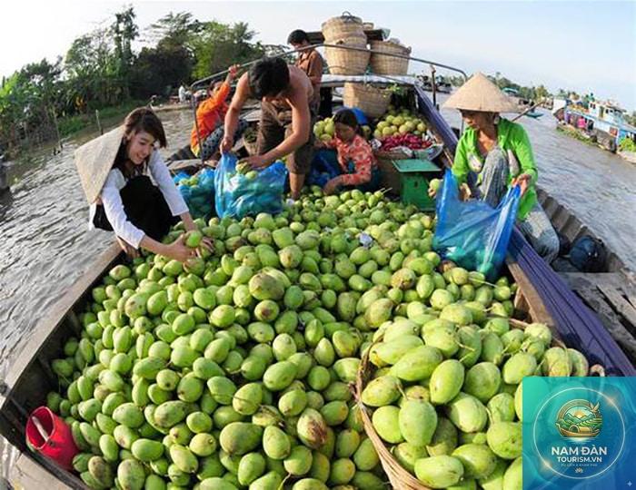 vườn cây ăn trái cai lậy - Hình 5