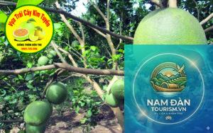 vườn cây ăn trái giồng trôm