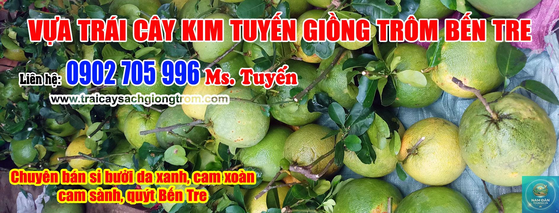 vườn cây ăn trái giồng trôm - Hình 3