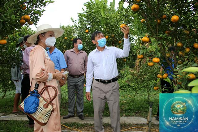 vườn cây ăn trái lai vung - Hình 3