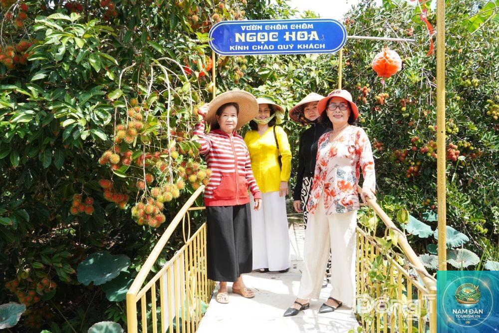 vườn cây ăn trái lai vung - Hình 1