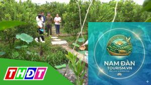 vườn cây ăn trái lấp vò