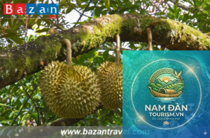 vườn cây ăn trái ngũ hiệp