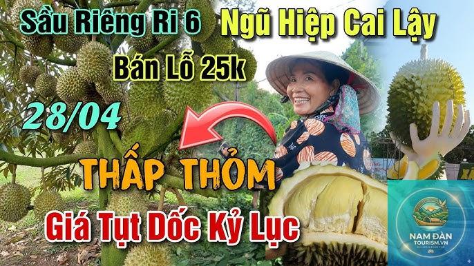 vườn cây ăn trái ngũ hiệp - Hình 5