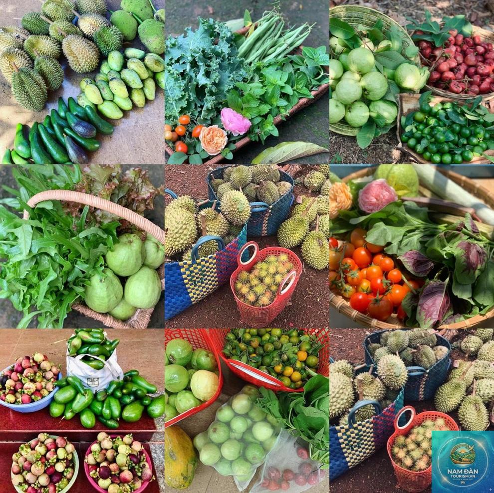 vườn cây ăn trái phước long - Hình 2