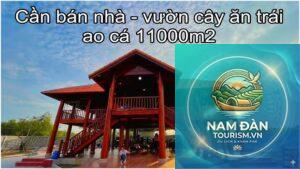 vườn cây ăn trái phước long