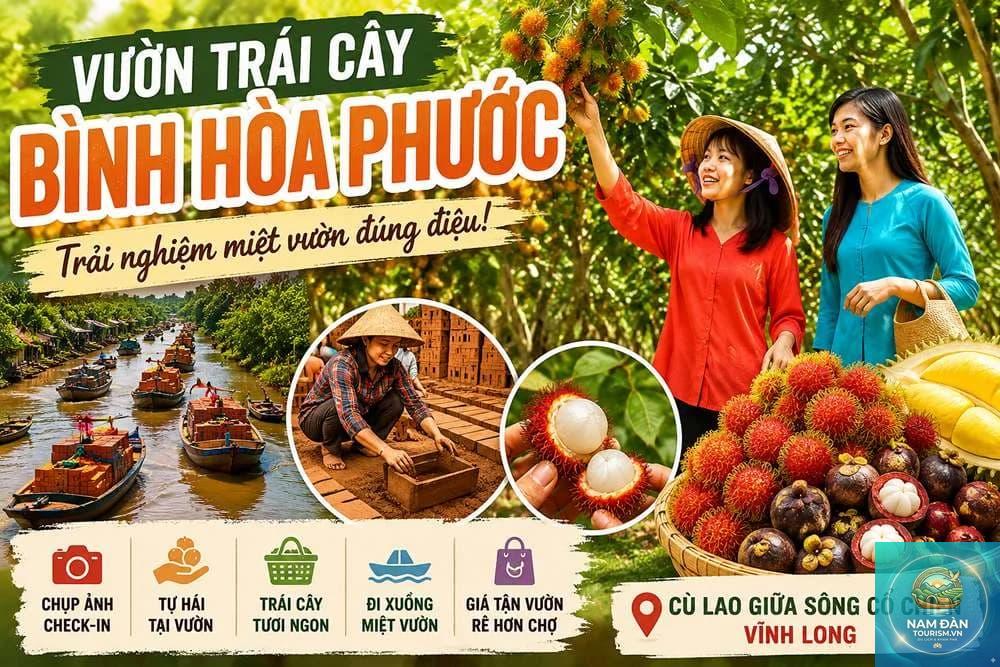 vườn cây ăn trái phước long - Hình 5