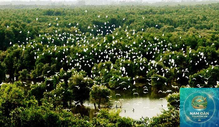 vườn cò tân long - Hình 4