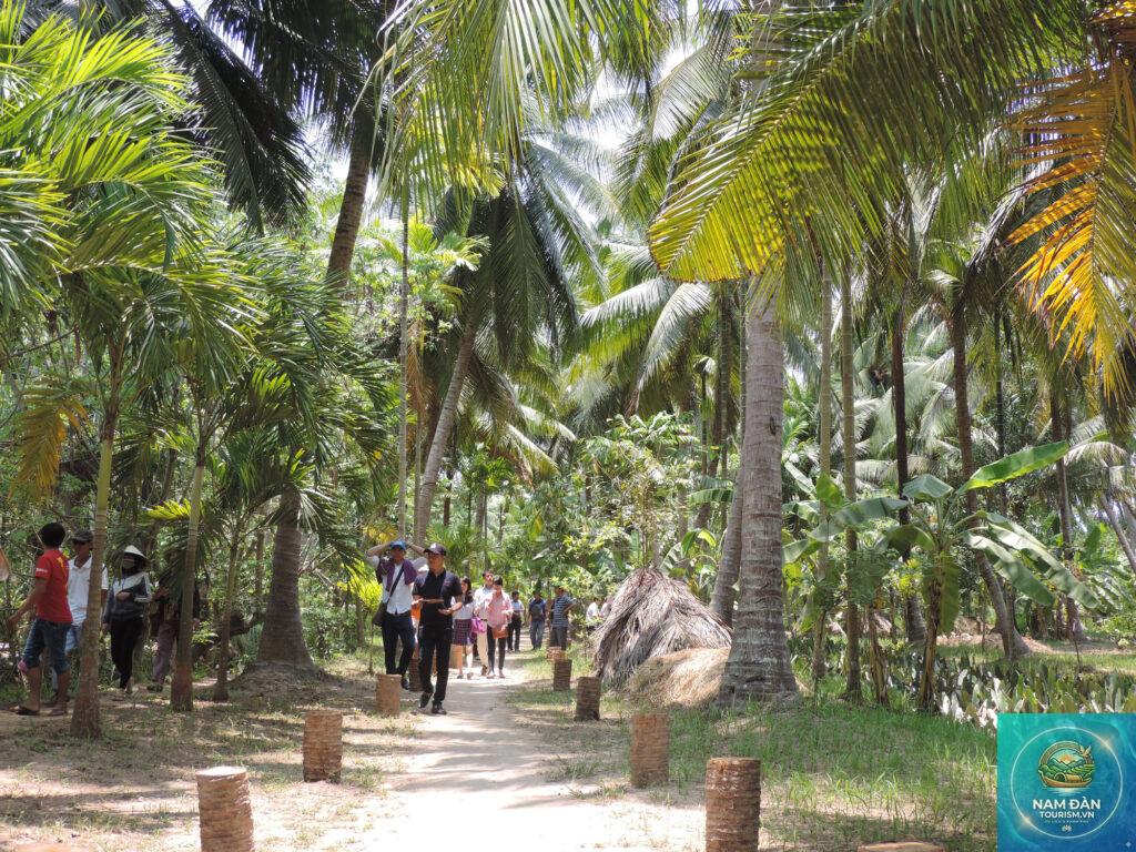 vườn dừa mẫu bến tre