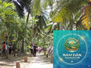 vườn dừa mẫu bến tre