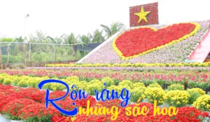 vườn hoa kiểng sa đéc mở rộng