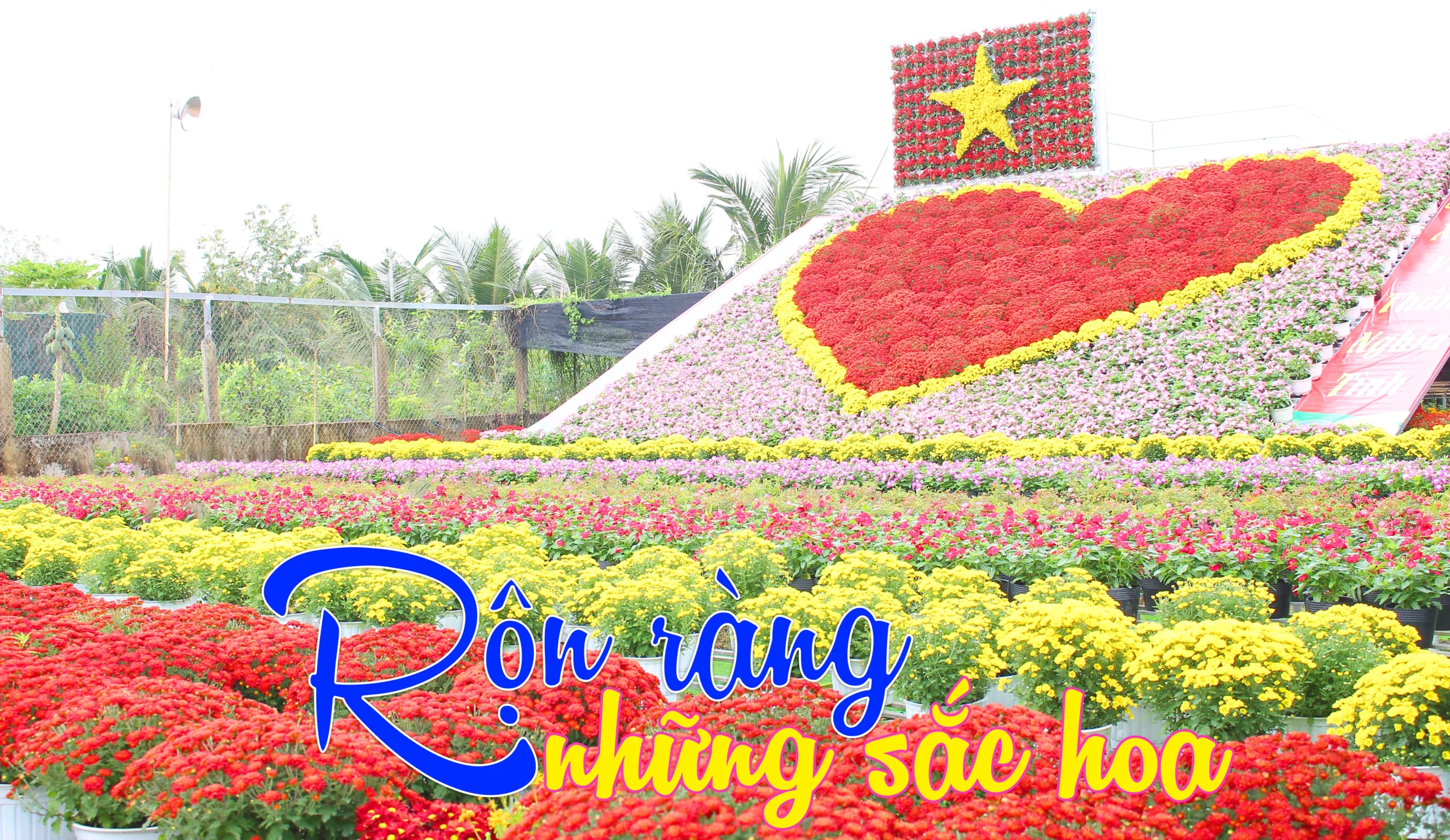 vườn hoa kiểng sa đéc mở rộng - Hình 1