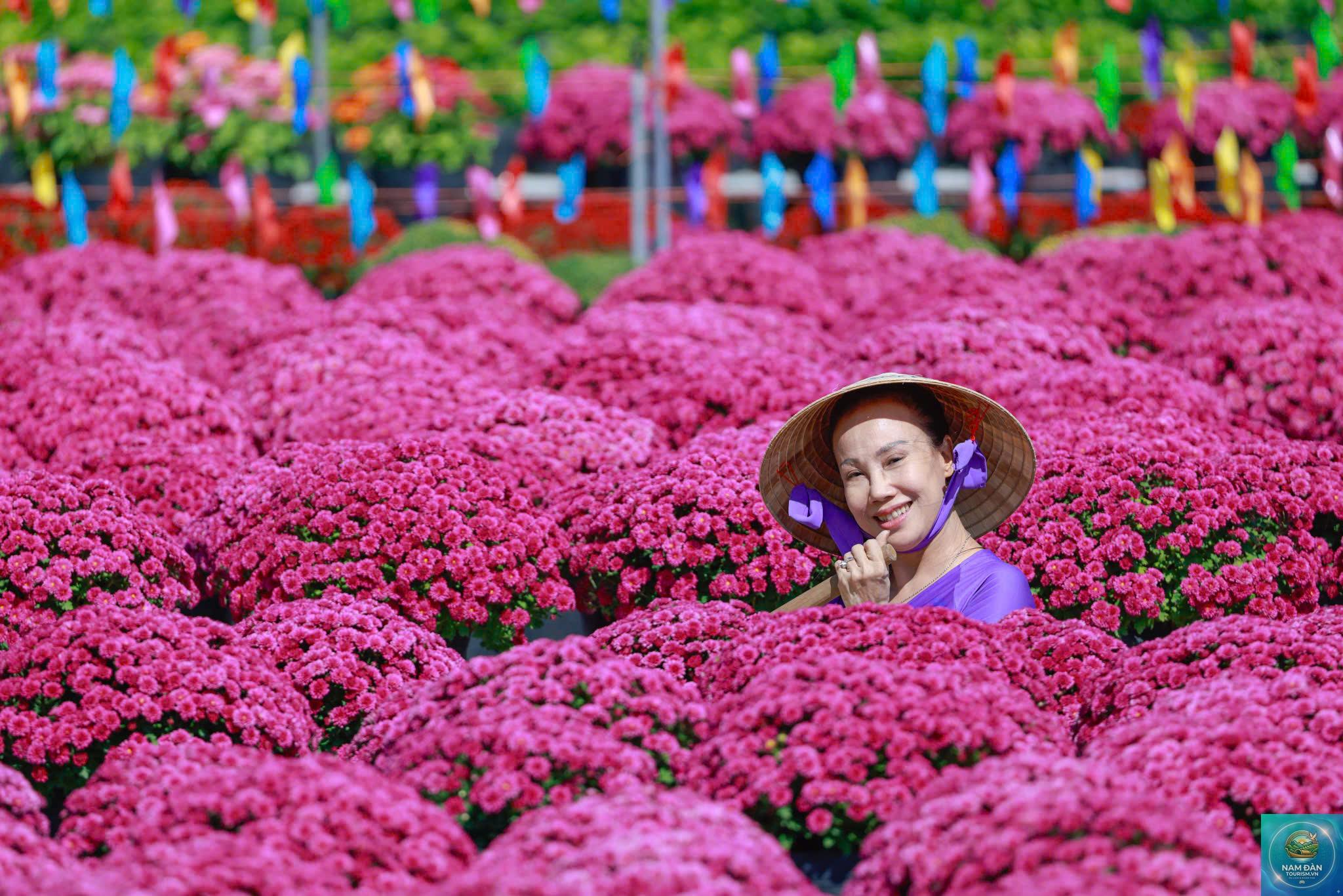 vườn hoa kiểng tân quy đông - Hình 2
