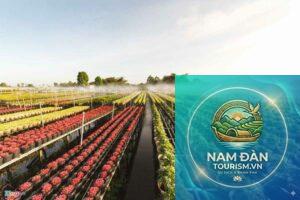 vườn hoa kiểng tân quy đông