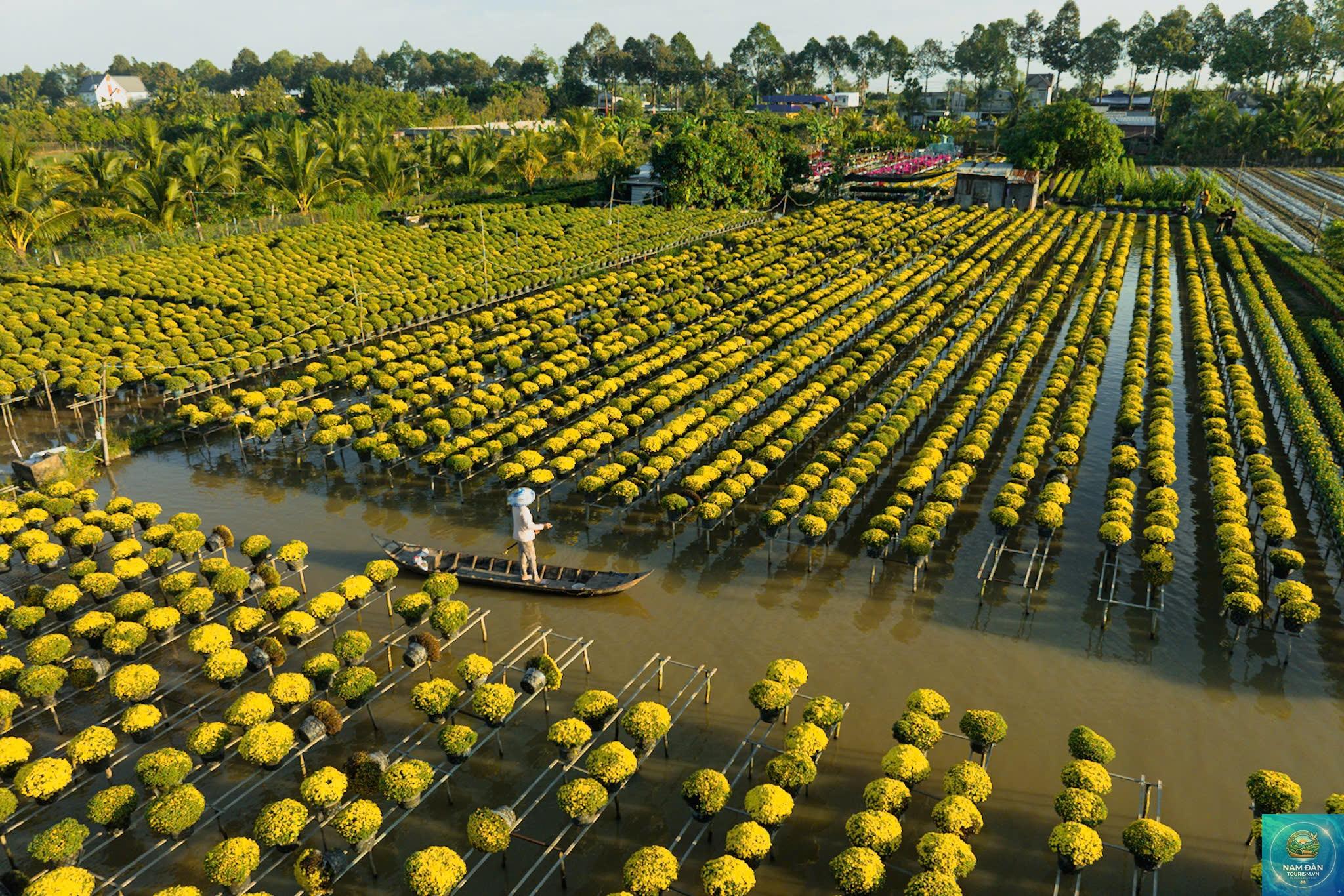 vườn hoa kiểng tân quy đông - Hình 4