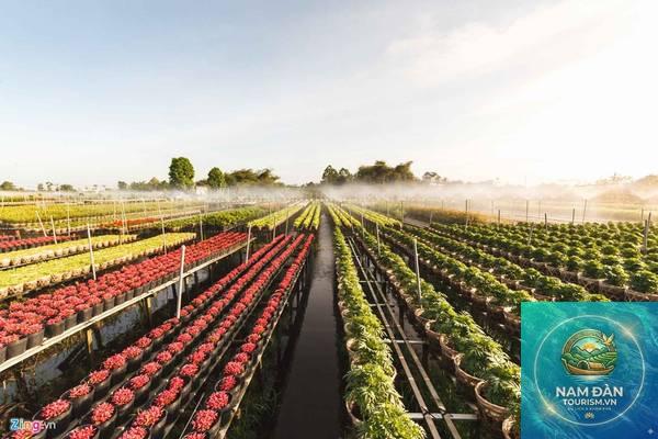vườn hoa kiểng tân quy đông - Hình 1