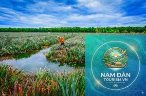 vườn khóm cầu đúc